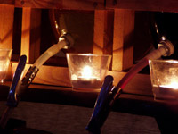 photos